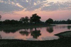 Lagune bei Sonnenuntergang - Nsefu Sektor - South Luangwa - Zambia
