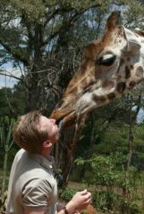Kuss - Giraffe Manor - Nairobi - Kenia