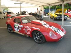 Cobra Daytona Coupe
- Nascar Race Edition mit 800 PS