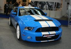 Shelby