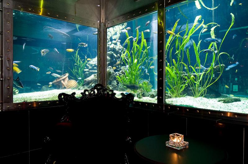 private area direkt am Aquarium und mit Blick hindurch in den Club.