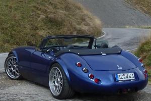 Wiesel.thumb.jpg.bb8418ee9df547932daac4f