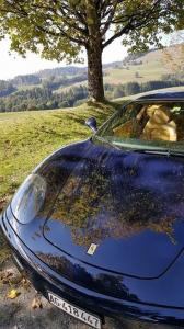 image.thumb.jpg.195828d5c81e4f2b3b0b1d26