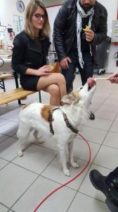 20151114_224349_red.thumb.jpg.bd4df433b1