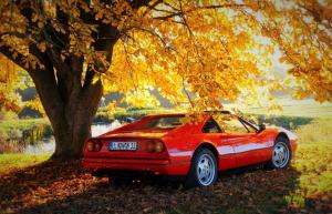 DSC00204_(4).thumb.JPG.8bed4bb92347f755e