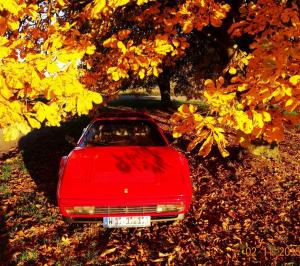 DSC00207_(3).thumb.JPG.61e2ecd55a7582f62