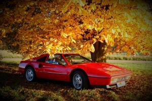 DSC00209_(2).thumb.JPG.05da824e80e593ae0