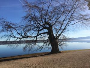 2015-12-28 iPhone 175.JPG