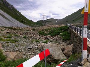 Albulla1.thumb.jpg.d918492bc0ecdf1f056f1