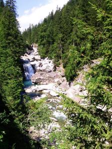 Foto0024.thumb.jpg.d2fc7ec1e1725aae78269