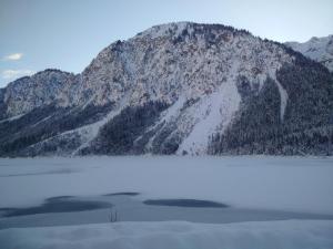 IMG_20160121_100443.thumb.jpg.f987d9b06a