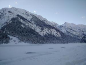 IMG_20160121_100447.thumb.jpg.e21293ab70