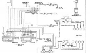 OT_Geber_Kabelbaum.thumb.jpg.8519daf4ba3