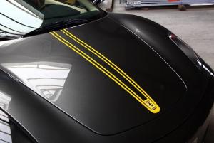 Streifen Kofferraum Seitenansicht.jpg