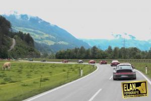 11229558_476281809194189_643482027997902