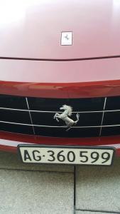 20160420_192309_resized.thumb.jpg.1d531a