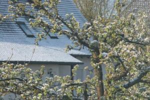 571e8b044be5a_IMG_3642(Small).thumb.JPG.