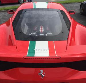 FullSizeRender (3).jpg