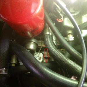 Der betroffene Kühlschlauch.jpg