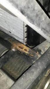 2016-06-04 11.45.51.jpg