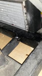 2016-06-04 13.24.39.jpg