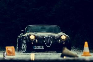 FST-Wiesmann 699.jpg