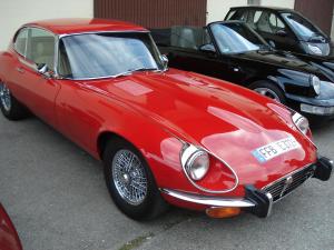 dsc08908r - Kopie - Kopie.jpg