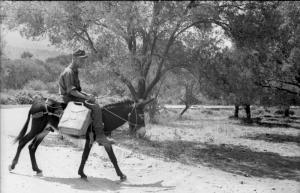 Bundesarchiv_Bild_101I-303-0586-31,_Italien,_Soldat_mit_Kanister_auf_Esel_-_Muli.jpg