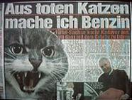 katzensprit.jpg
