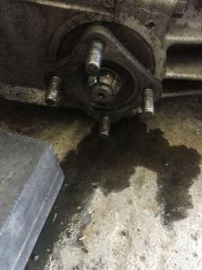 2016  Hr Molitor 11 CV 060 Getriebe im Ausgebauten Zustand undicht (19).jpg