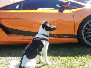 2015-04-19 13.30.27_resized.jpg