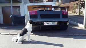 2017-03-11 11.21.26 886-20170311_112127.jpg