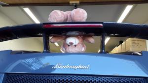 2017-04-21 15.29.49 730-20170421_152949.jpg