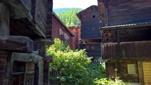 WP_20170618_16_23_08_Pro 1.jpg