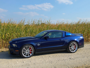 32_Ford Shelby Super Snake.png