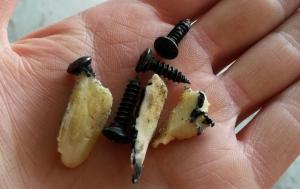 2017-08-06 11.41.23.jpg