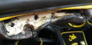 2017-08-07 17.20.42.jpg