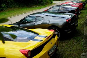 _DSC2646 (Medium).JPG