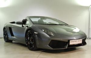 Gallardo-0311-02.JPG