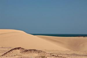 7V8A1218 - Kopie.jpeg