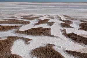 7V8A1246 - Kopie.jpeg