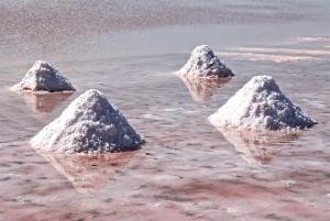 7V8A1271 - Kopie.jpeg