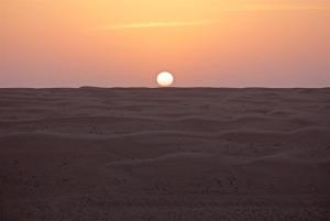 269A0459 - Kopie.jpeg