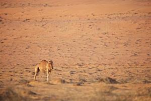 269A0502 - Kopie.jpeg