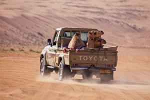 269A0629 - Kopie.jpeg