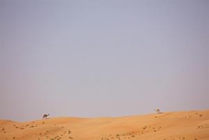 269A0687 - Kopie.jpeg