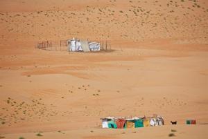 269A0696 - Kopie - Kopie.jpeg