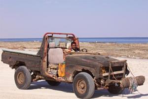 269A0831 - Kopie - Kopie.jpeg