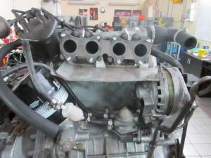 IMG_0244 - Copia.JPG