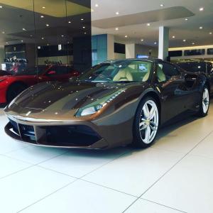 Livery 46-488 Spider-Anglicko.jpg